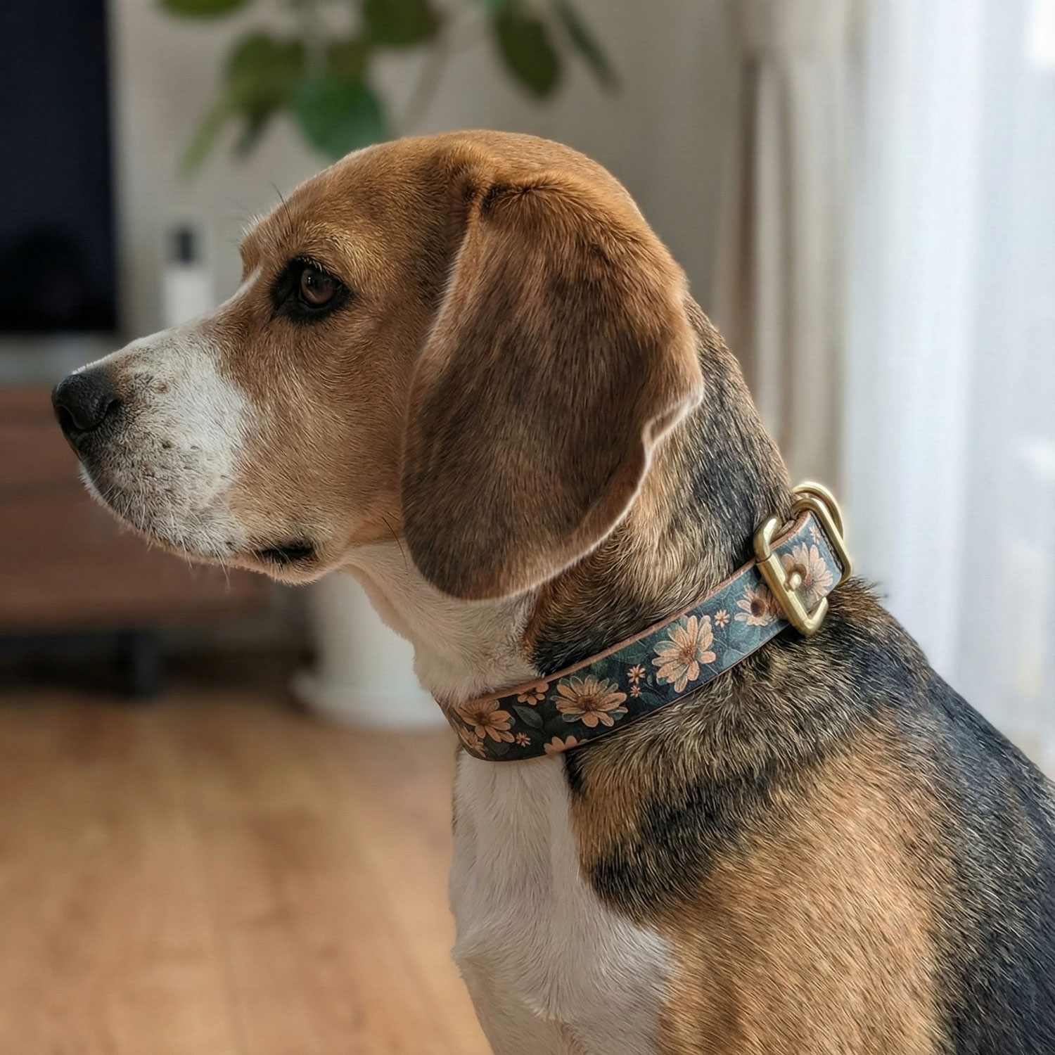 Framer アートなグラフィック本革首輪　デイジー花柄　真鍮無垢金具 サイズSS～L ベルト幅16mm #23489