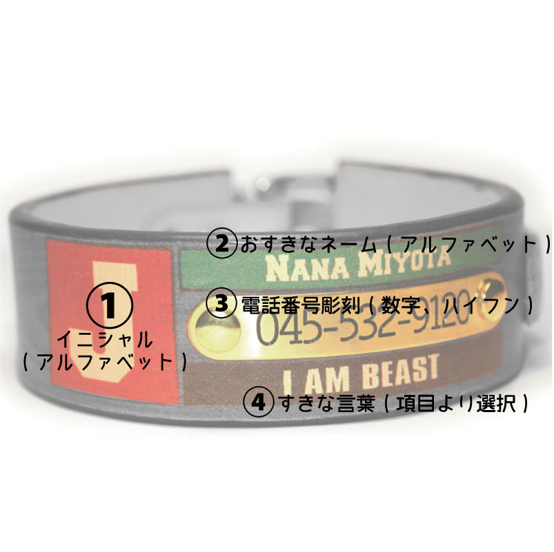 おなまえ首輪　名入れ・電話番号　真鍮彫刻プレート&木目グラフィックプリント　本革首輪　真鍮無垢金具 サイズSS～L ベルト幅30mm #33001-3