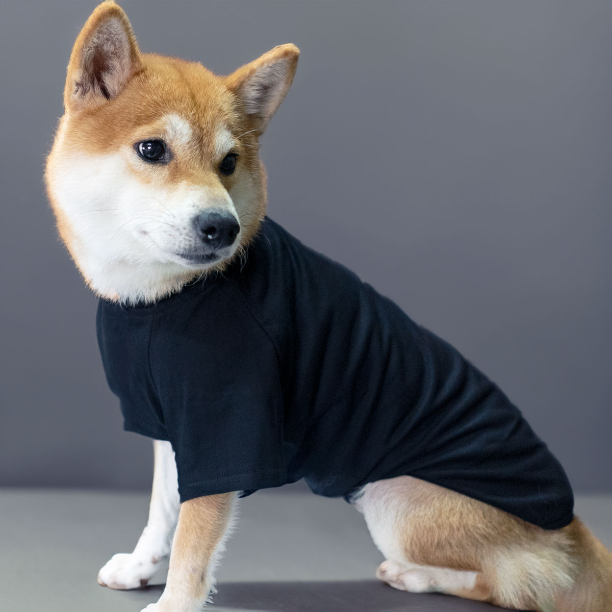 SAKURA DOGWARE FACTORY 名入れ　ペット用Tシャツ(小型犬・パピー・中大型犬・猫用) 綿100% 77001