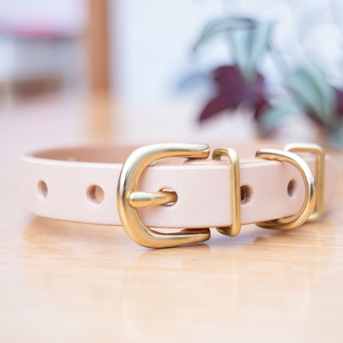 [#CLASSIC]サクラ犬具製作所　本革クラシックカラー　ヌメ革ナチュラル　日本製