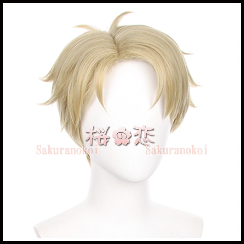 コスプレ 学園祭 文化祭 コミケ  夏コミケ 冬コミケ コスプレ衣装 靴 ブーツ ウィッグ 道具 コスチューム cosplay パーティー イベント qw3373