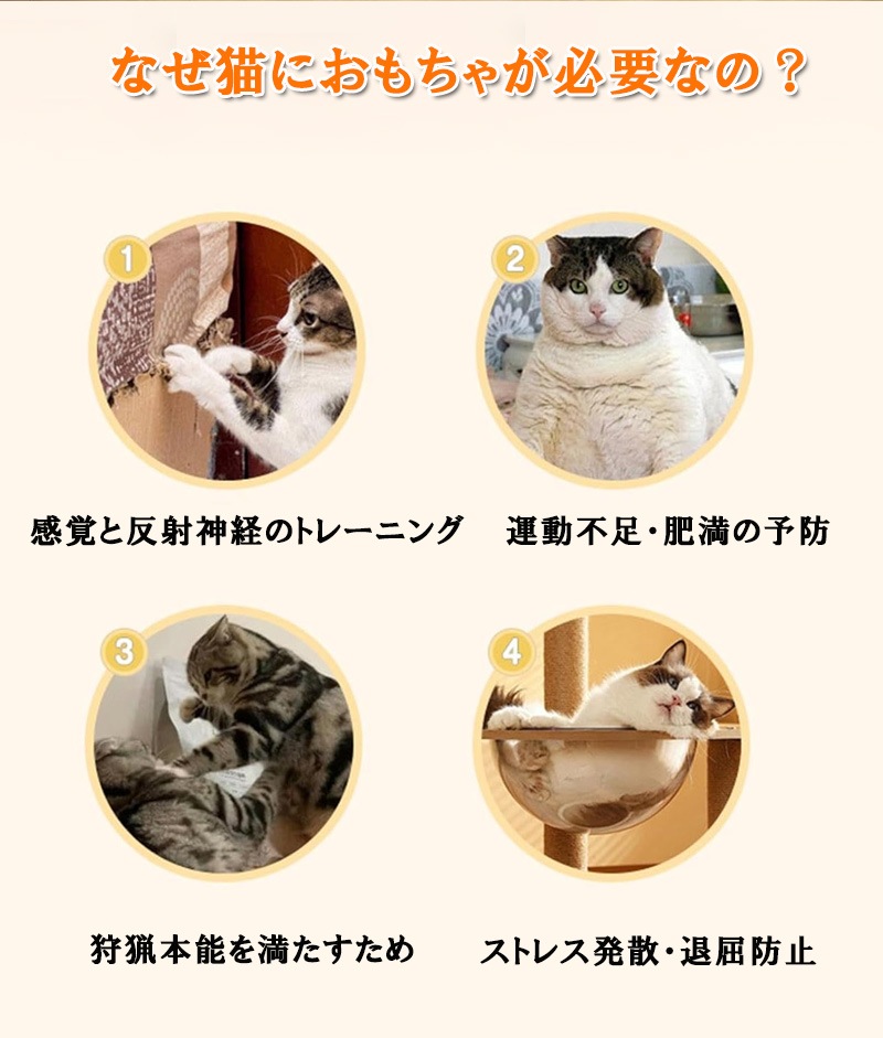 ΰ´ ᤤɻ ¤굡 ڥåΰ餪 Ῡɻ ڥå ե  ǭ  ABSǺ  淿 緿   ǭŬ ä꿩٤뻮  å ̵ ̵ ©ɻ  ȥ졼˥ zk1396