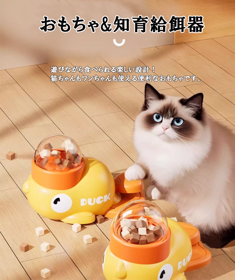 ΰ´ ᤤɻ ¤굡 ڥåΰ餪 Ῡɻ ڥå ե  ǭ  ABSǺ  淿 緿   ǭŬ ä꿩٤뻮  å ̵ ̵ ©ɻ  ȥ졼˥ zk1396