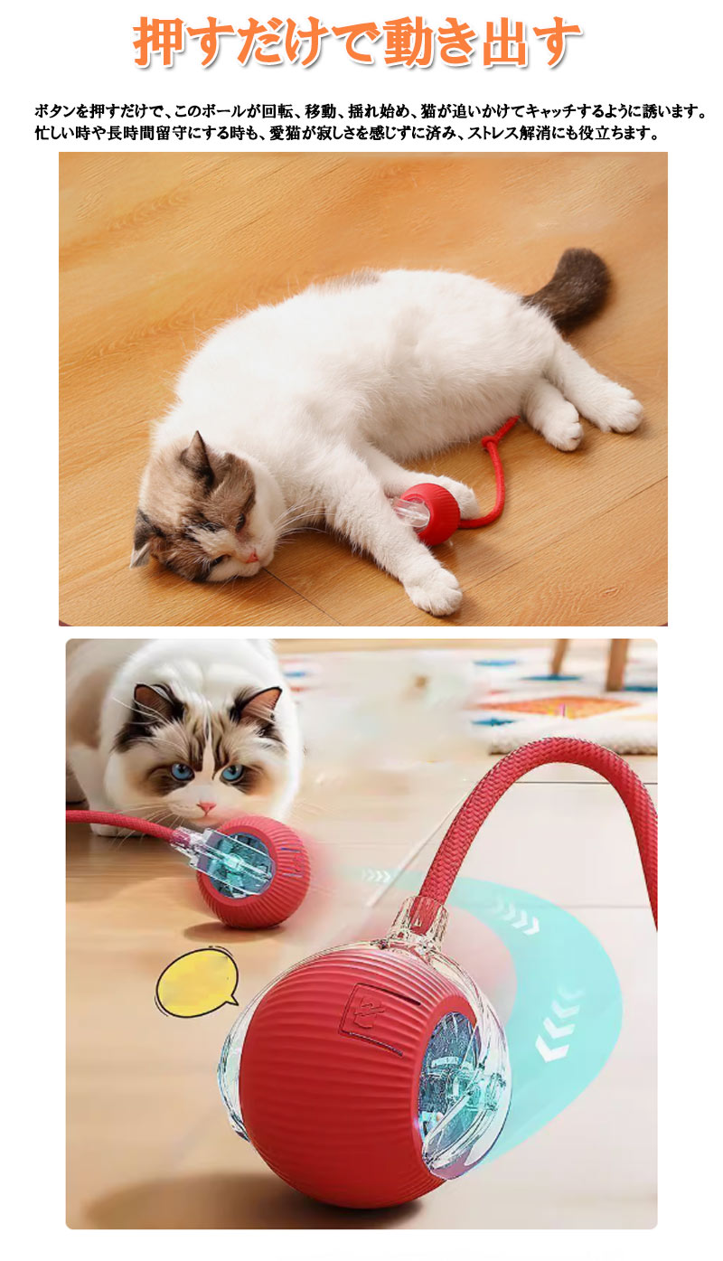 ǭ餷 ư ܡ ͤ ǭ  ư ͥ ž   ͷ ͷ ư­ ȥ쥹ȯ αк  ѵ zk1401