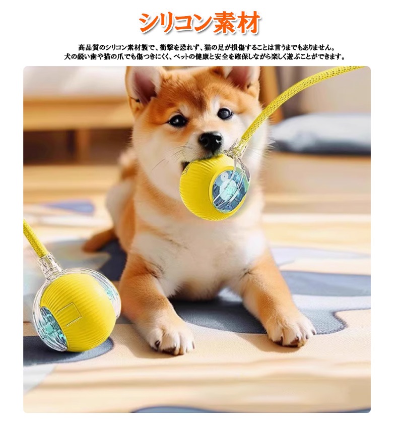 ǭ餷 ư ܡ ͤ ǭ  ư ͥ ž   ͷ ͷ ư­ ȥ쥹ȯ αк  ѵ zk1401