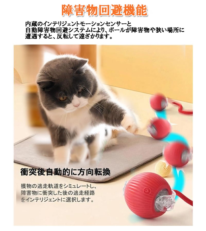 ǭ餷 ư ܡ ͤ ǭ  ư ͥ ž   ͷ ͷ ư­ ȥ쥹ȯ αк  ѵ zk1401