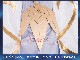 ���� ���󤷤� genshin �ű� ���� ���� �����ץ� ���� cosplay ���٥�� �ѡ��ƥ��� �������塼�� ���� ���� uw1443