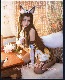 Хȥ NARAKA: BLADEPOINT ڸ ץ  cosplay ٥ ѡƥ 塼   mg116