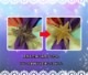 ץ ر ʸ ߥ  ƥߥ ߥߥ ץ  ֡ å ƻ 塼 cosplay ѡƥ ٥ y2530