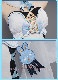 ���� ���󤷤� genshin ��͸� �� �ۤ��� �Ƶ��Ͳ��� ������ ���� cosplay ���٥�� �ѡ��ƥ��� �������塼�� ���� ���� uw1701