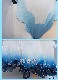 ���� ���󤷤� genshin ��͸� �� �ۤ��� �Ƶ��Ͳ��� ������ ���� cosplay ���٥�� �ѡ��ƥ��� �������塼�� ���� ���� uw1701