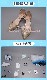 ���� ���󤷤� genshin ��͸� �� �ۤ��� �Ƶ��Ͳ��� ������ ���� cosplay ���٥�� �ѡ��ƥ��� �������塼�� ���� ���� uw1701