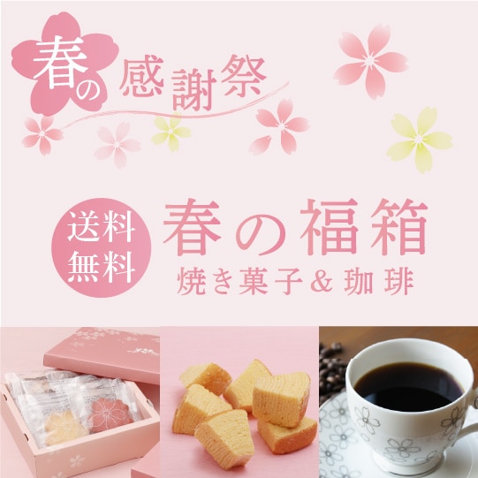[����̵��][���̸���]�դ�ʡȢ �Ʋۻҡ�����