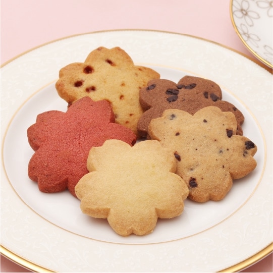 �����饯�å���  5��10��