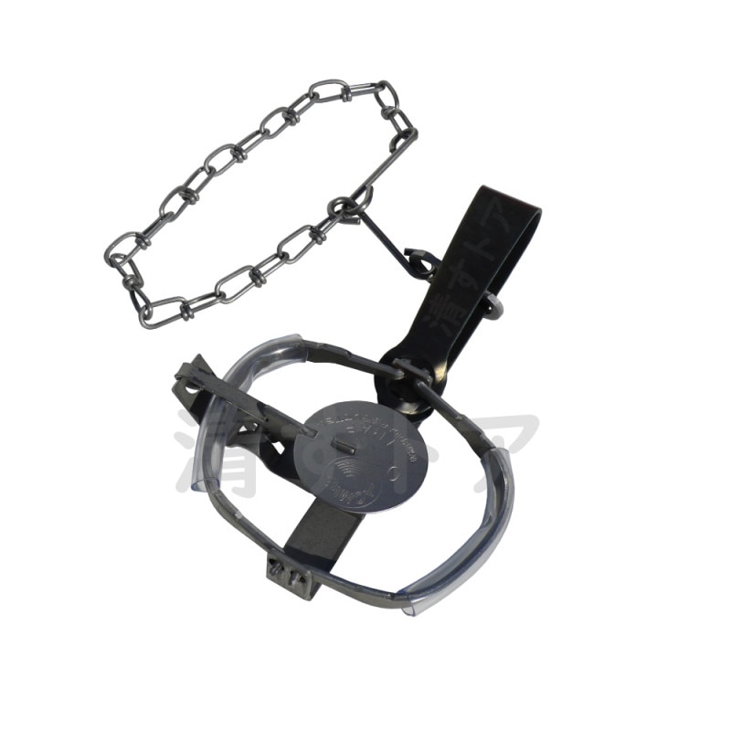 ưʪȥå 0 10(1Ĥ1530) ӥˡѥå ʹ ꥹ  ƥ ͥ