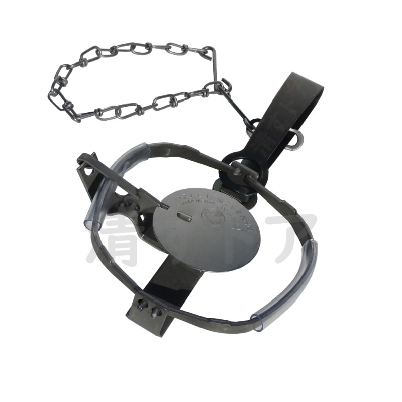 ưʪȥå 1.5 10(1Ĥ2360) ӥˡѥå ʹ ॸ ̥ưʪ  ȥХ 