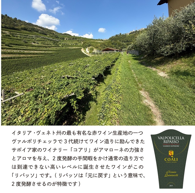 ヴァルポリチェッラ リパッソ クラッシコ スペリオーレ DOC「ロニー・クインタレッリ」スペシャルエディション