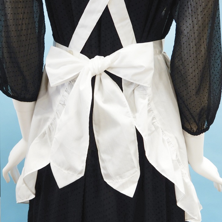 ��Blanc de Salon�ۡ��֥�� �ɥ� ������ �ϡ��� ���������ץ���