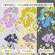 ��HANAE MORI�ۥϥʥ���� �������� �ե꡼������ ���ץ���