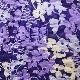 ��HANAE MORI�ۥϥʥ� ��� �ϥ��ɡ�����������ˣ��