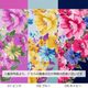 ��HANAE MORI�ۥϥʥ���� �ե��ե졼�� �ѥͥ� ���������ץ���