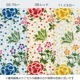 ��V&A�� ����������ɡ����� �ڥ륷������ ���դ����ץ��� (M���̥�����)