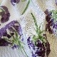 ��Sybilla casa�� ���ӥ� ������ ����� �ե꡼������ ���ץ���