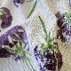 ��Sybilla casa�� ���ӥ� ������ ����� ������ ���ץ���