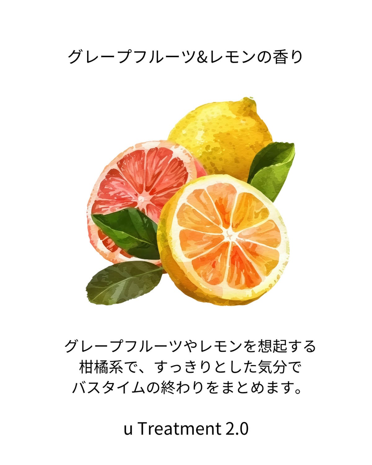 【まずは1ヶ月試してみたい方におすすめ】u Shampoo & Treatment 2.0 （250ml セット）＋ u emulsion （200g）