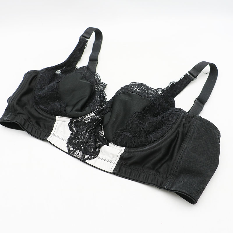 �������ȥ������ LALA GLANT ��� ������ �֥饸�㡼C85 �֥�å� �������