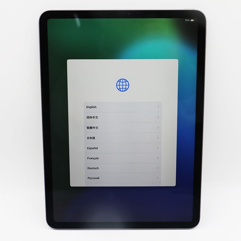 Apple iPad Pro 11-inch 一本気 Wi-Fi + Cellular 256GB Space Gray 