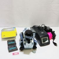 �����ˡ� ������ AIBO ERS-210 �������