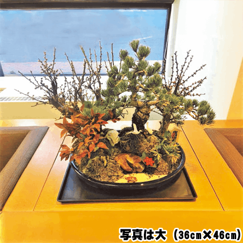 松竹梅 小（24cm×36cm）（東京・関東）