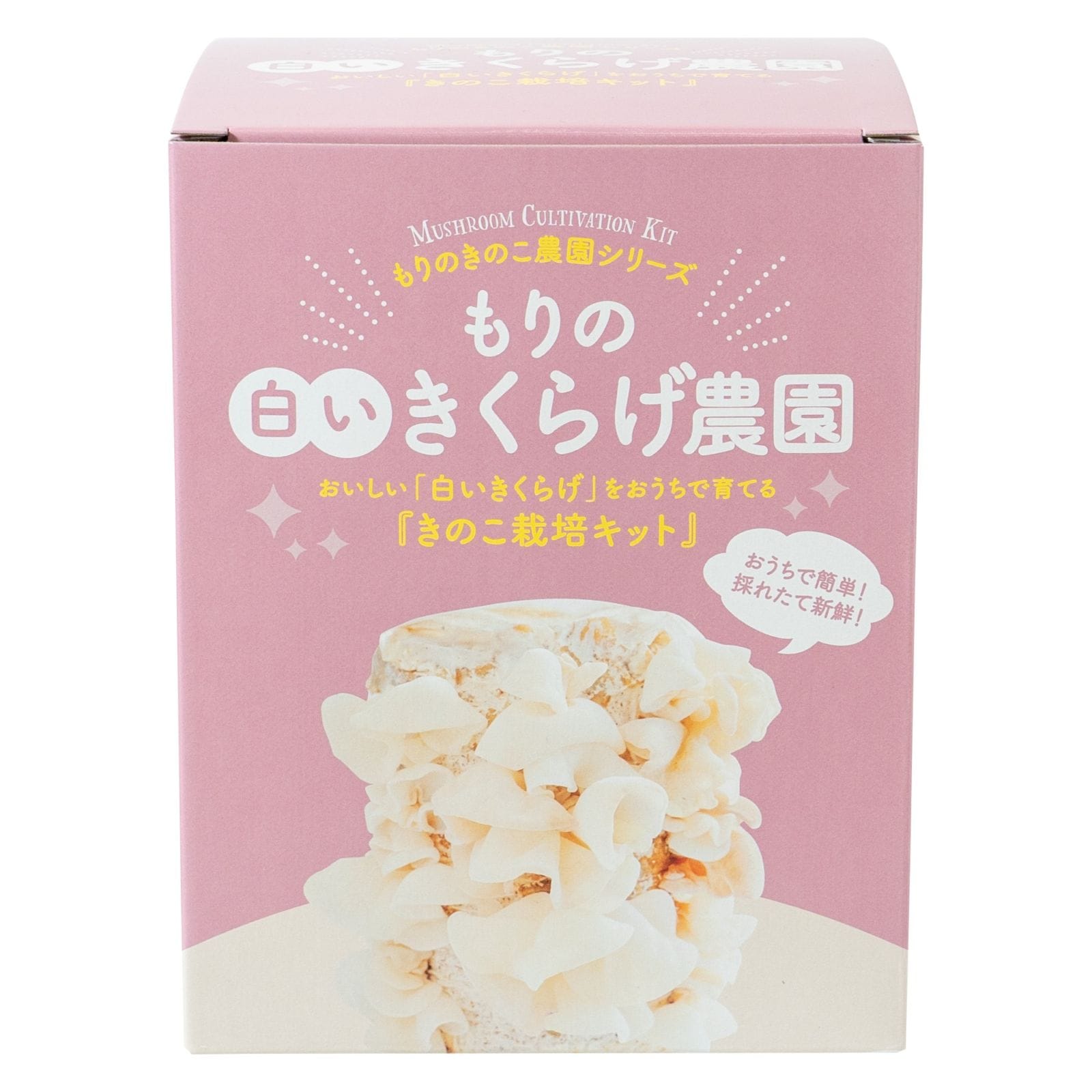 【父の日2026】白いきくらげ栽培セット（6月17日（水）-6月21日（日）のお届け）