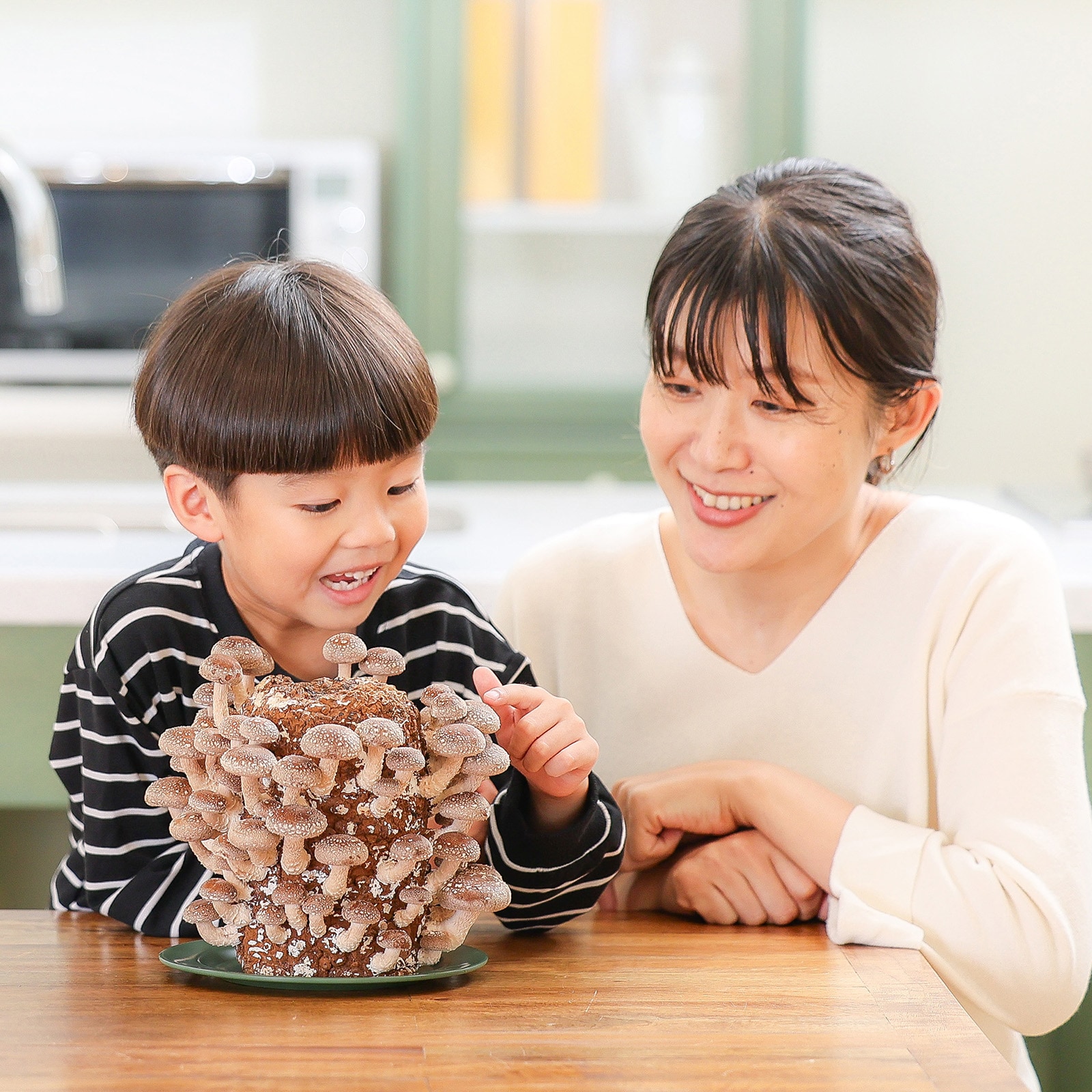【母の日2026】しいたけ栽培セット(5月6日(水)-5月10日(日)のお届け)