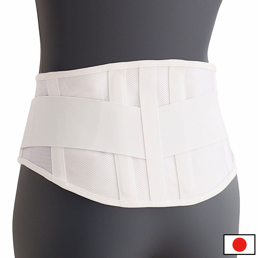 ����٤����ݲ����ݡ�����(M-LL)