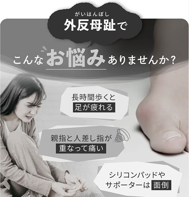 ��ȿ�����к����å��������硼�Ⱦ�(��Ĺú���졼���֥�å����١�����)(M-LL)