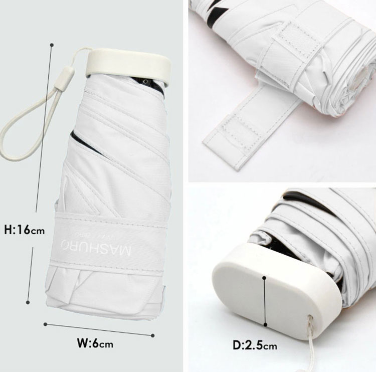 ��MASHURO���������ѡ������׸� 5���ޤꤿ���߻������եۥ磻��(F)