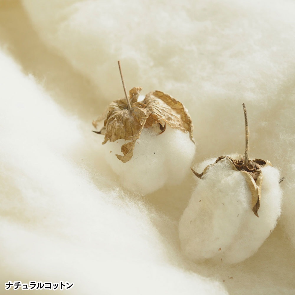 �ʥ������åե�ϡ��ե��å�(�������忧������������)