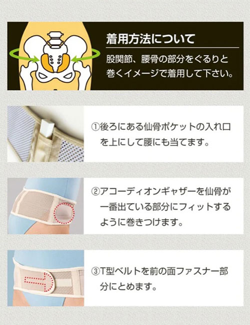 ���ץӥ塼�ƥ�����٥��(M-LL)