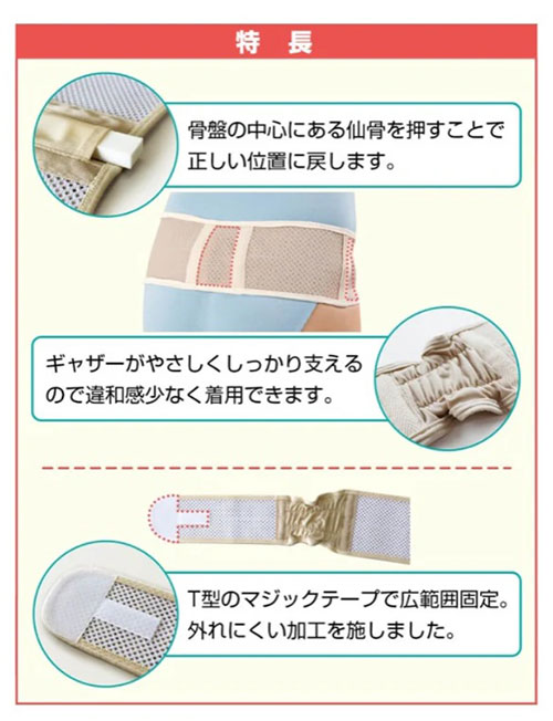 ���ץӥ塼�ƥ�����٥��(M-LL)