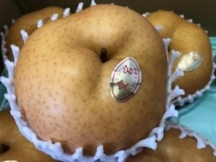 ˭��(���ʤ�)�� ������ ��5kȢ 5��7����