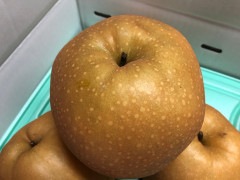 ˭��(���ʤ�)�� ������ ��5KȢ ��� 9��12����