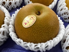 ˭��(���ʤ�)�� �����٥ץ�ߥ��ढ���Ť� ��2.5k ����Ȣ ��� 5��6����