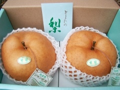 ˭��(���ʤ�)�� ������ ����Ȣ2���� �祵����