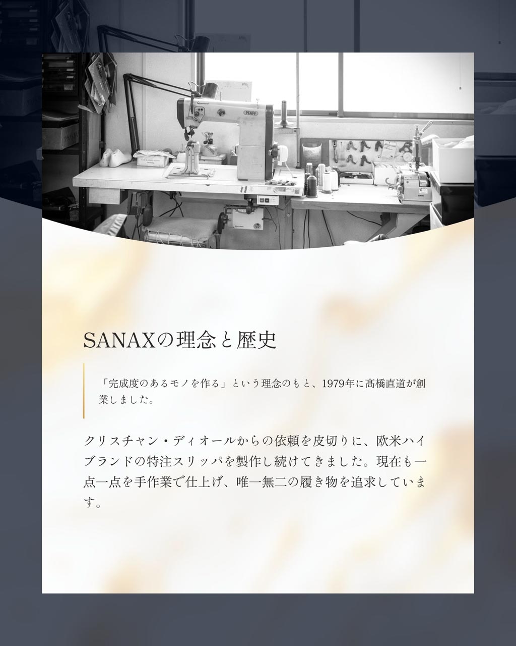 JUPITER ®POWER SOCK LININGオリジナルの中敷き | 中敷き