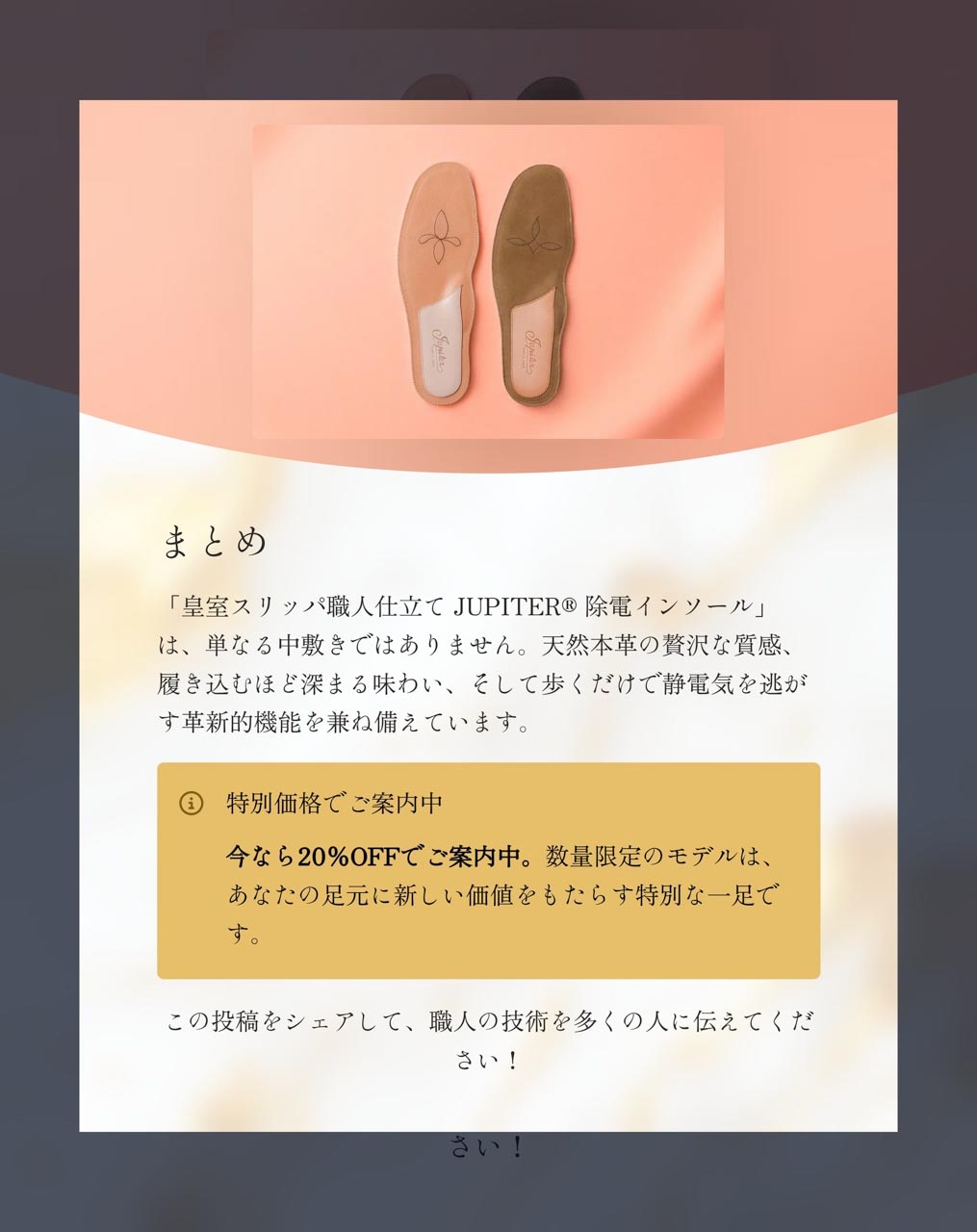 【売約済】バッハ  for リラクゼーション JUPITER ®POWER SOCK LININGオリジナルの中敷き | 中敷き