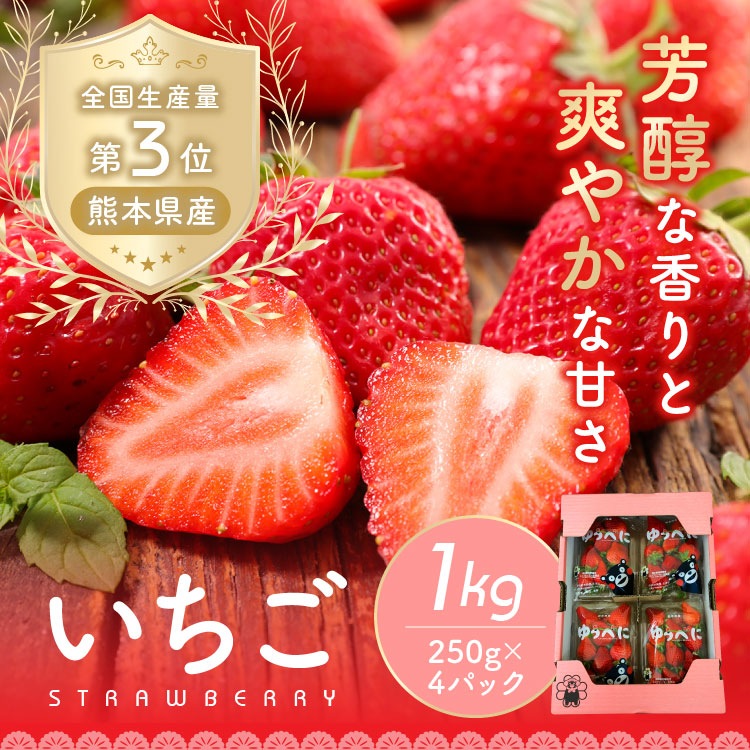 熊本県産いちご1kg（250g×4） | 果物 | 産直特産ショップ