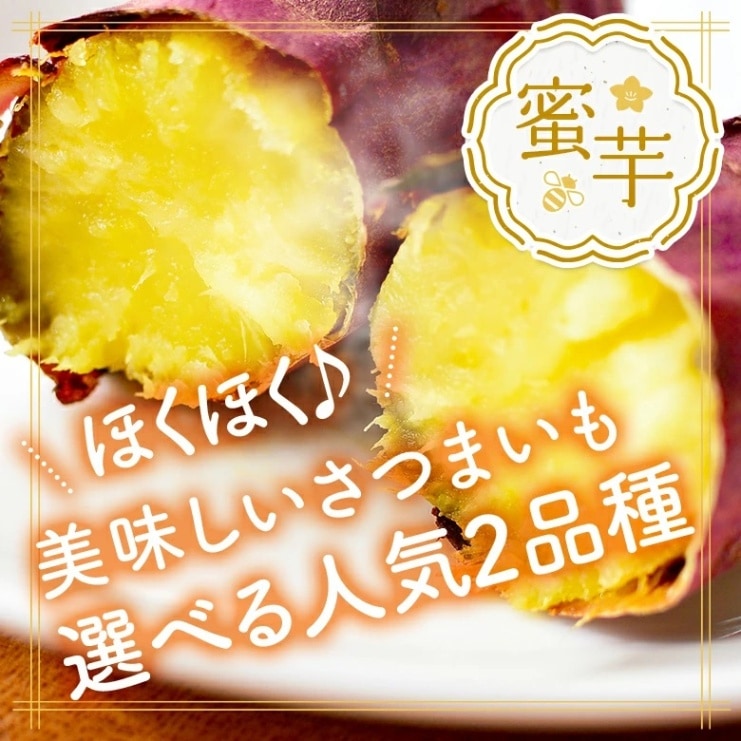 さつまいも 紅はるか 約2.5kg 千葉県・茨城県産 訳あり品 濃厚な