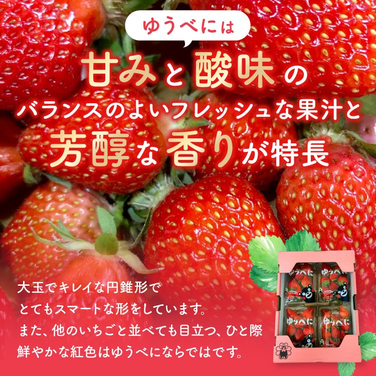 熊本県産いちご1kg（250g×4） | 果物 | 産直特産ショップ